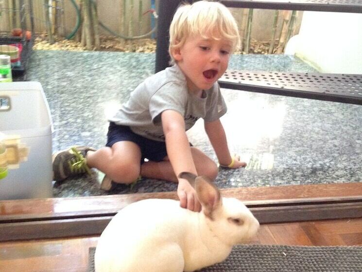 Fotos del hotel Papick Lodge:  18