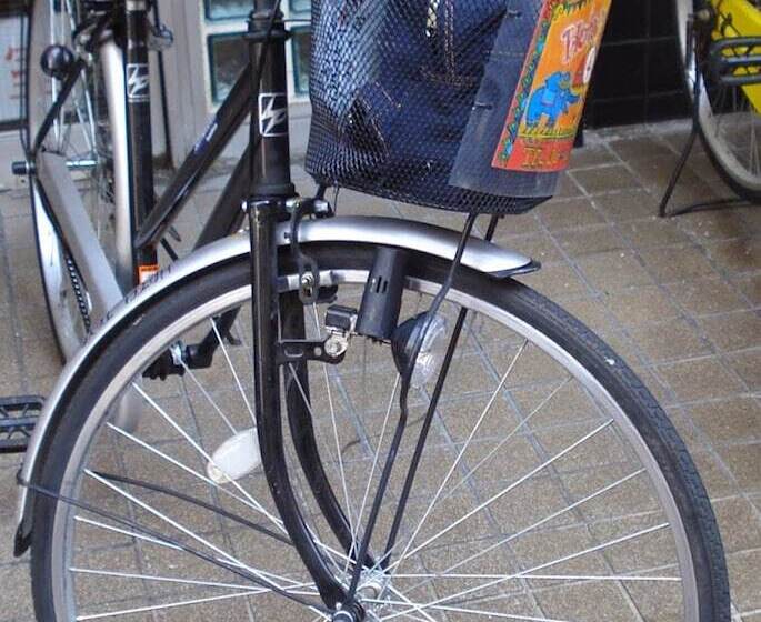 Fotos del hotel Papick Lodge:  6