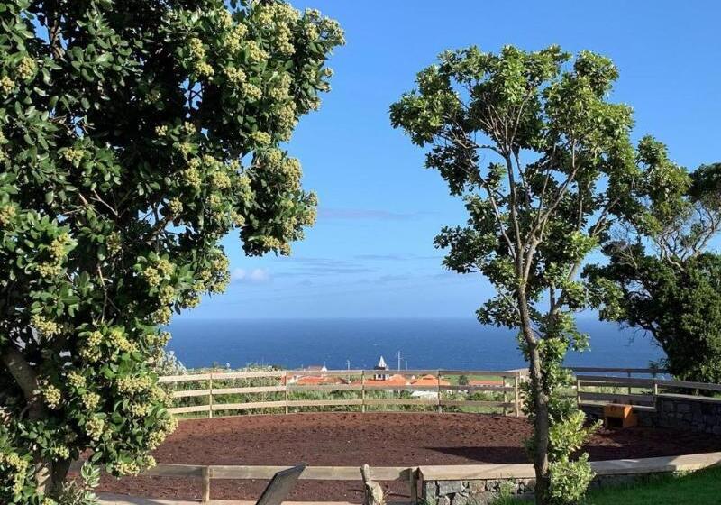 Fotos del hotel Patio Lodge:  8