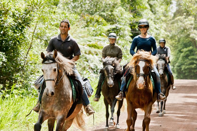 Fotos del hotel Patio Lodge:  12