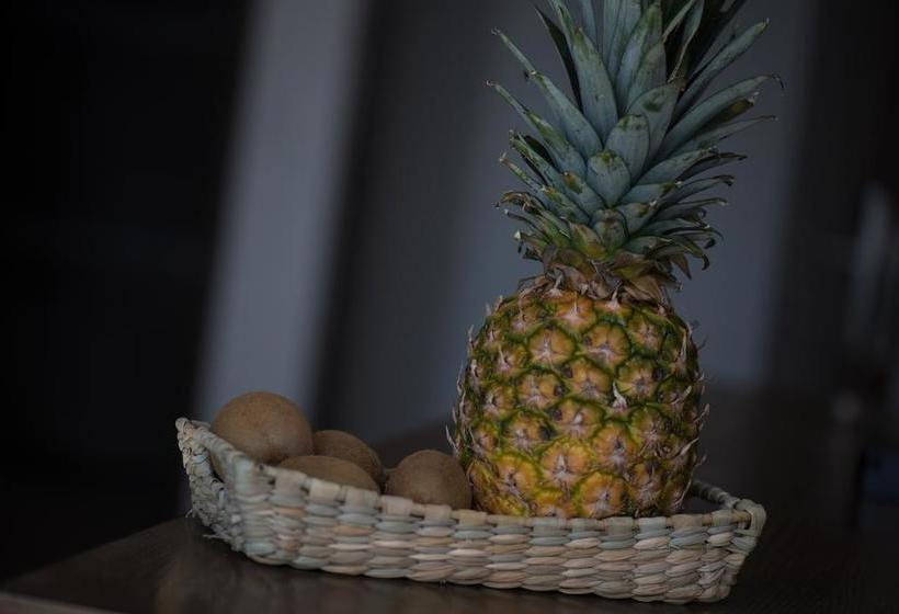 Fotos del hotel Portea  Playa Del Carmen 5th Ave Midtown:  8