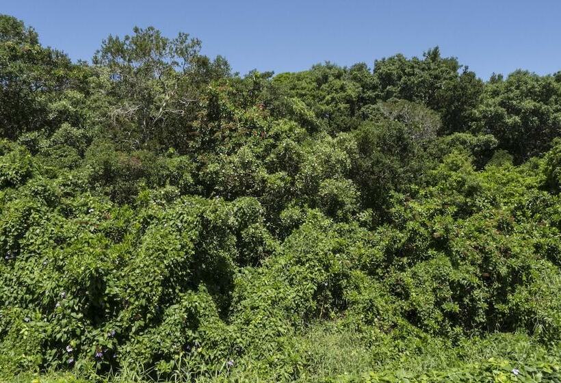 Fotos del hotel Pousada Casa Da Lagoa:  13