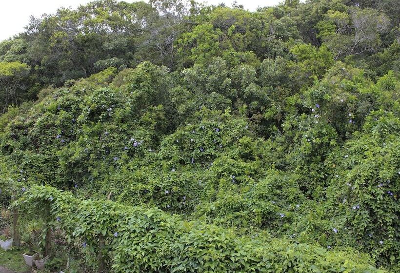 Fotos del hotel Pousada Casa Da Lagoa:  21