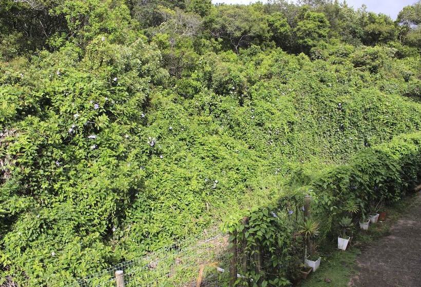 Fotos del hotel Pousada Casa Da Lagoa:  17