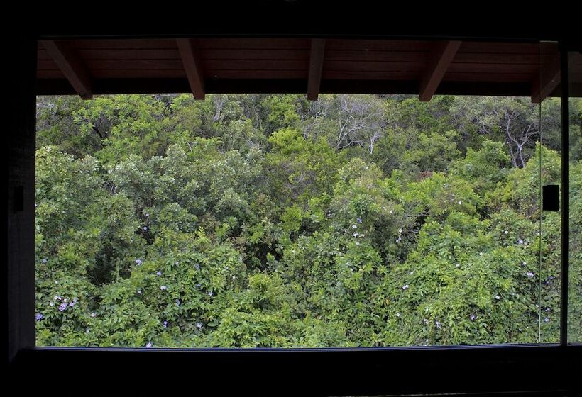 Fotos del hotel Pousada Casa Da Lagoa:  9