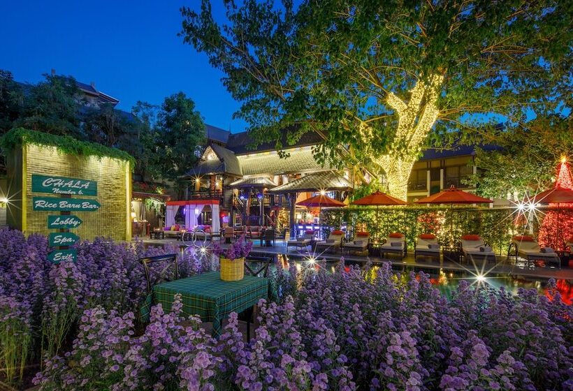 Fotos del hotel Chala Number 6:  24