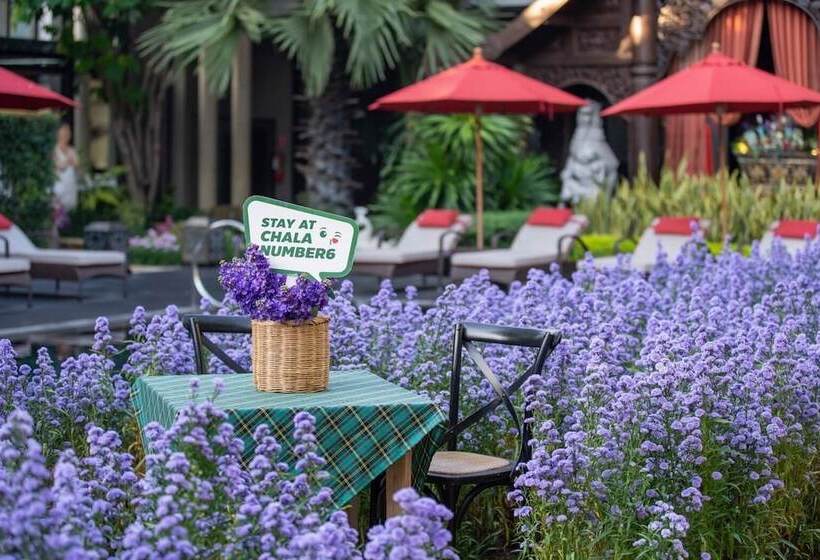 Fotos del hotel Chala Number 6:  16