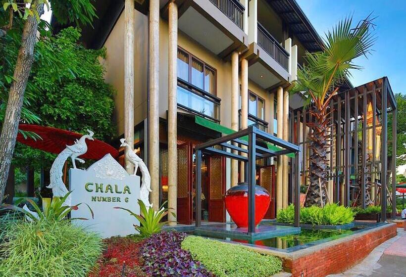 Fotos del hotel Chala Number 6:  19