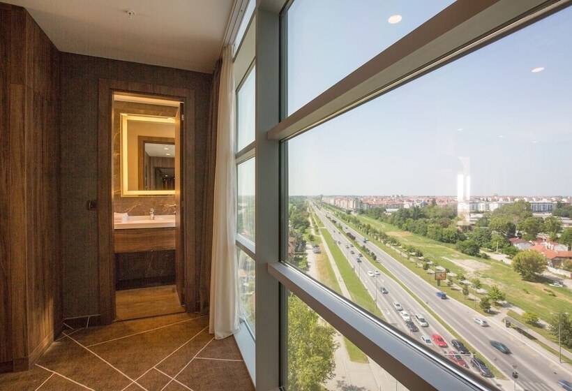 Fotos del hotel Sheraton Novi Sad:  7