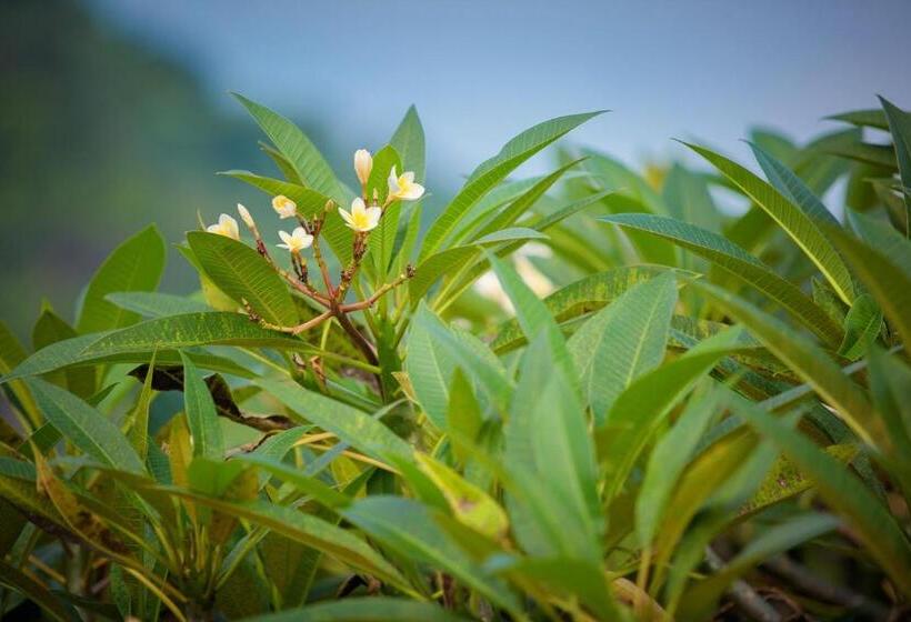 Fotos del hotel Sunset Beach Villas:  6