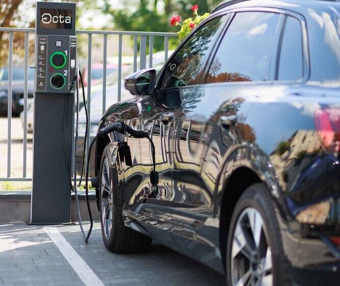 Fotos del hotel Taurus City:  7