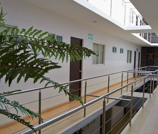 Fotos del hotel Boutique Boca - Veracruz:  15