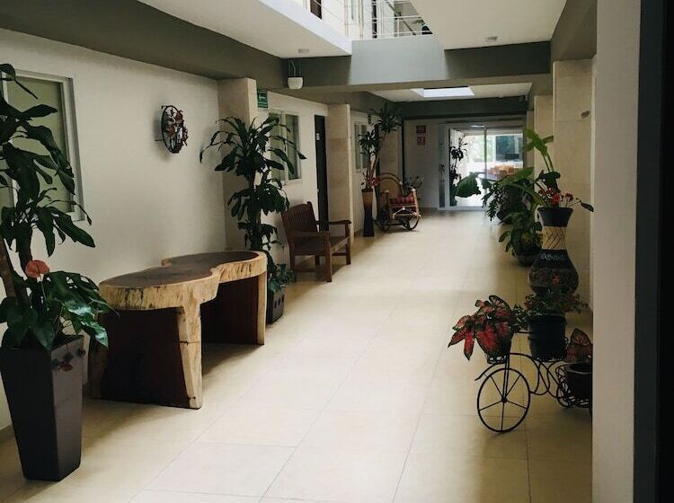 Fotos del hotel Boutique Boca - Veracruz:  6