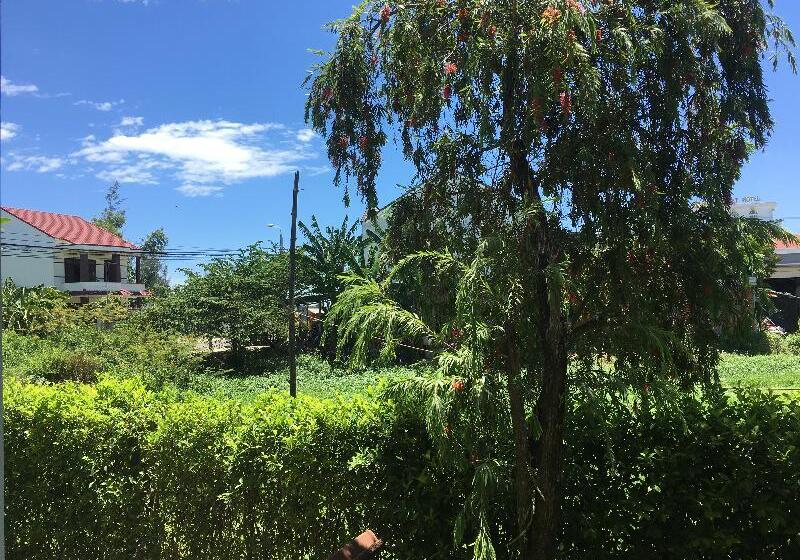 Fotos del hotel Zen Boutique Hoi An:  5