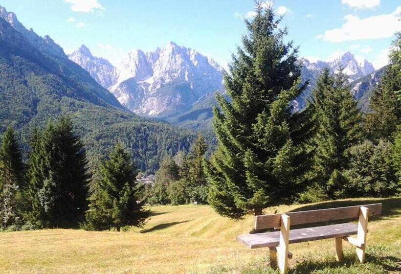 Fotos del hotel Vandot:  5