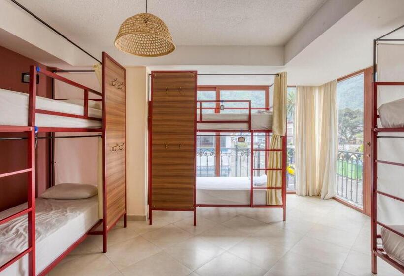 Fotos del hotel Selina Baños:  24