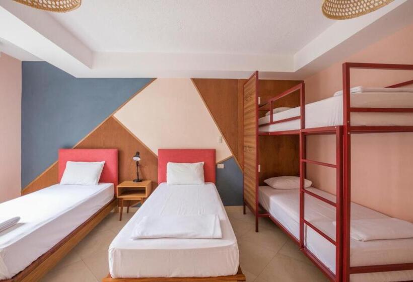 Fotos del hotel Selina Baños:  4