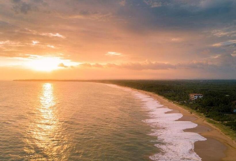 Fotos del hotel Nirvana Beach Boutique:  6