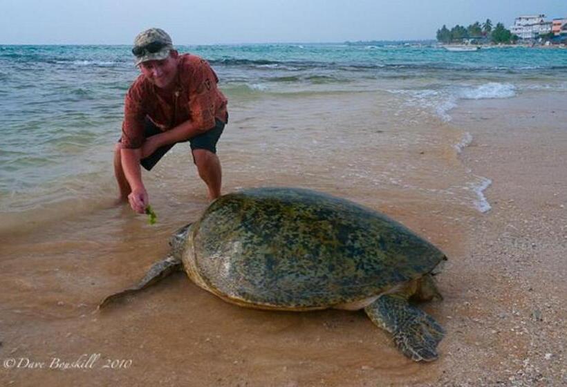 Fotos del hotel Nirvana Beach Boutique:  5