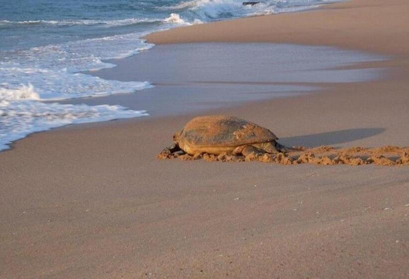 Fotos del hotel Nirvana Beach Boutique:  10