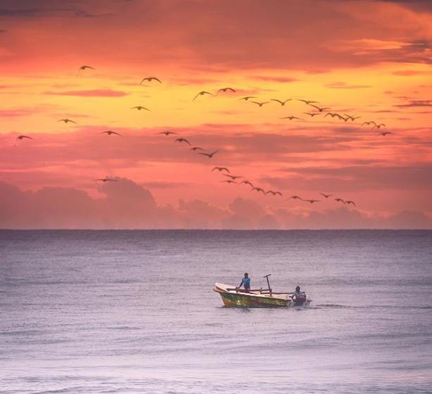 Fotos del hotel Nirvana Beach Boutique:  18