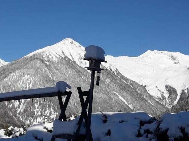 Fotos del hotel Hotel Pension Oswald:  20