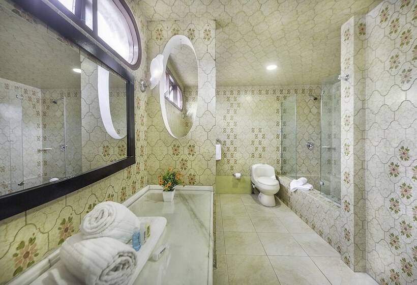 Fotos del hotel San Angel Corferias:  6