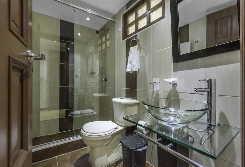 Fotos del hotel San Angel Corferias:  2