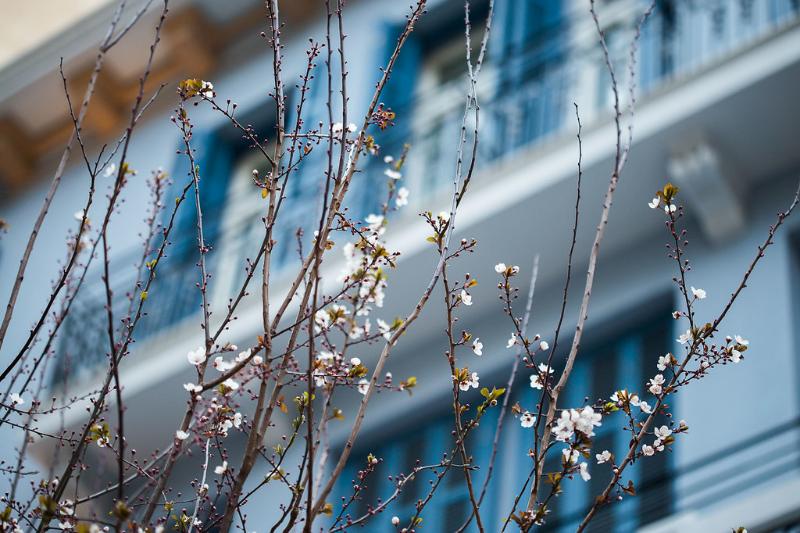 Fotos del hotel Bahar Boutique:  14