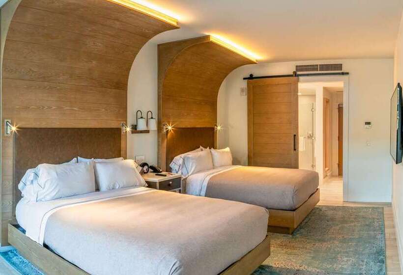 Fotos del hotel Canopy By Hilton Dallas Uptown:  18