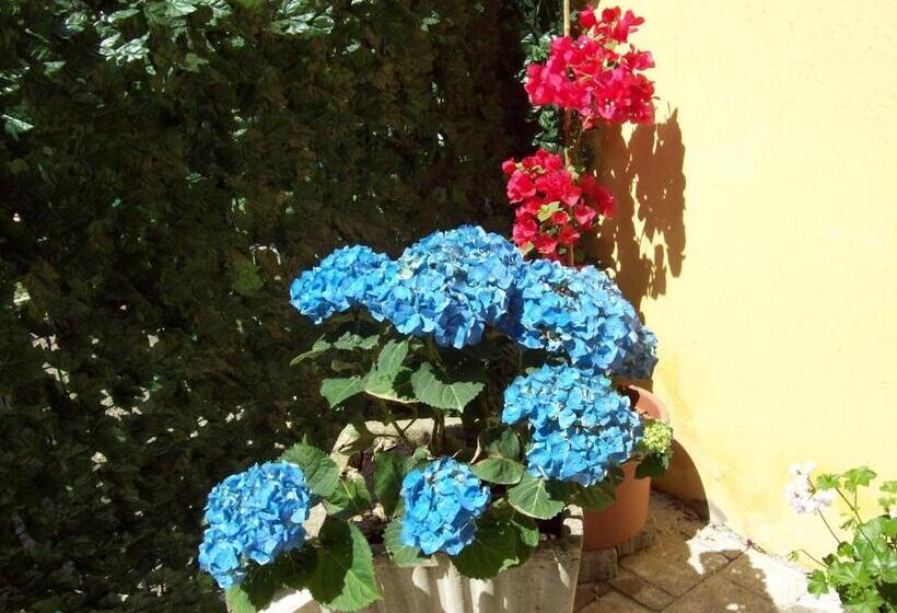 Fotos del hotel Le Divine:  2