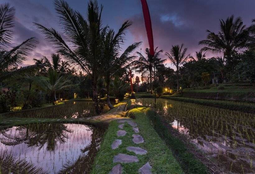 Fotos del hotel Prana Dewi Mountain Resort:  10