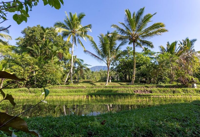 Fotos del hotel Prana Dewi Mountain Resort:  6