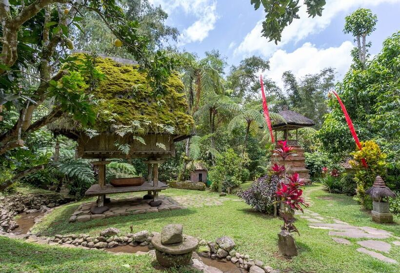 Fotos del hotel Prana Dewi Mountain Resort:  12