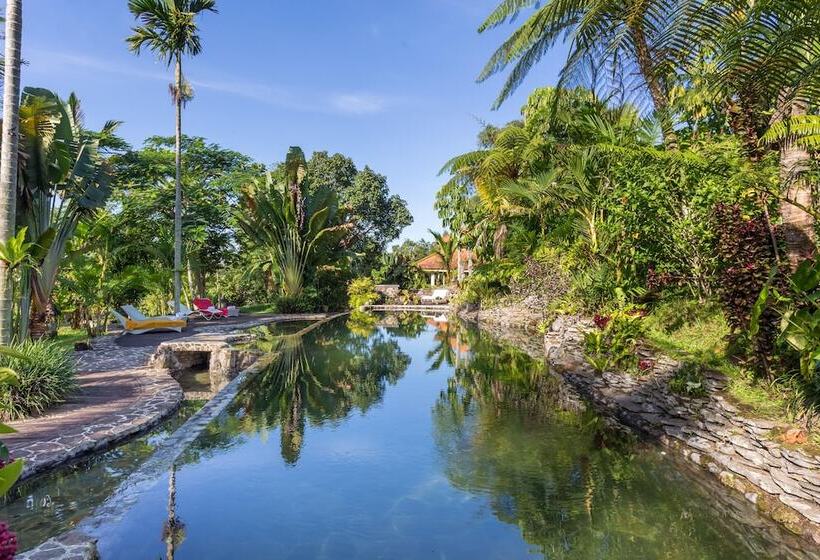 Fotos del hotel Prana Dewi Mountain Resort:  15