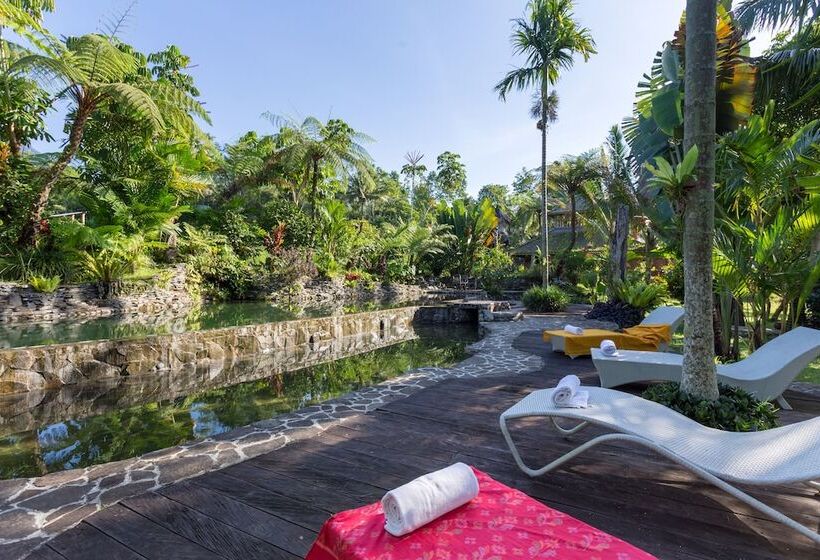 Fotos del hotel Prana Dewi Mountain Resort:  8