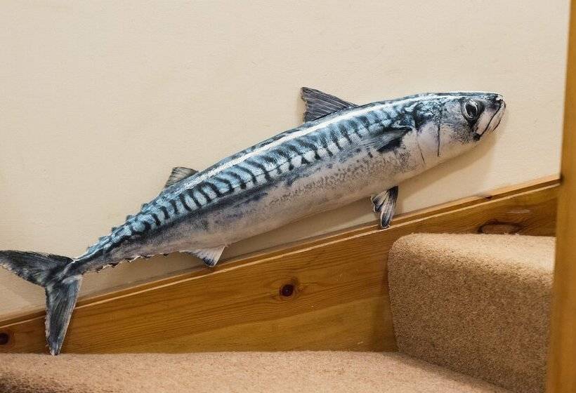 Fotos del hotel Sharamore House:  19