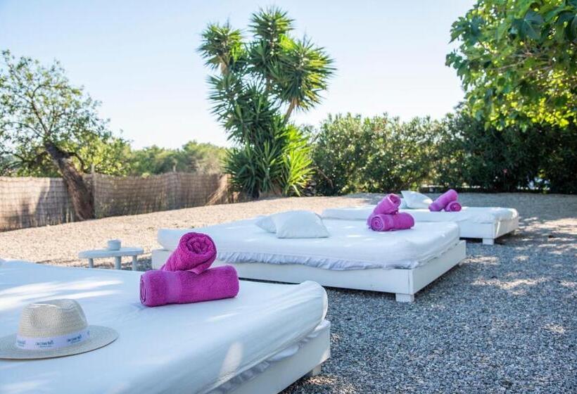 Fotos del hotel Agroturismo Can Cosmi Prats:  13