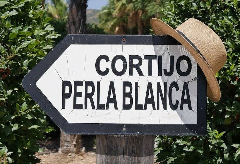 Fotos del hotel La Perla Blanca  Ronda:  6