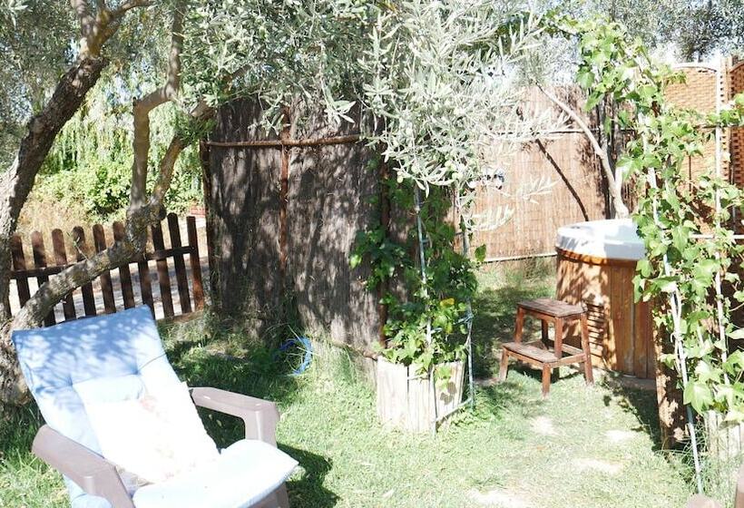 Fotos del hotel La Perla Blanca  Ronda:  16