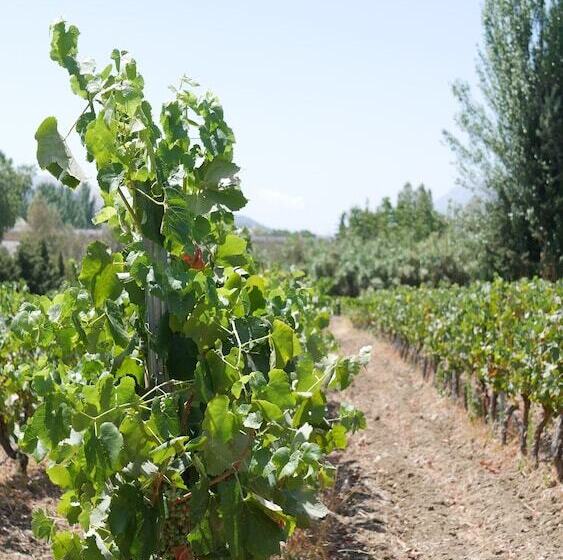 Fotos del hotel La Perla Blanca  Ronda:  23