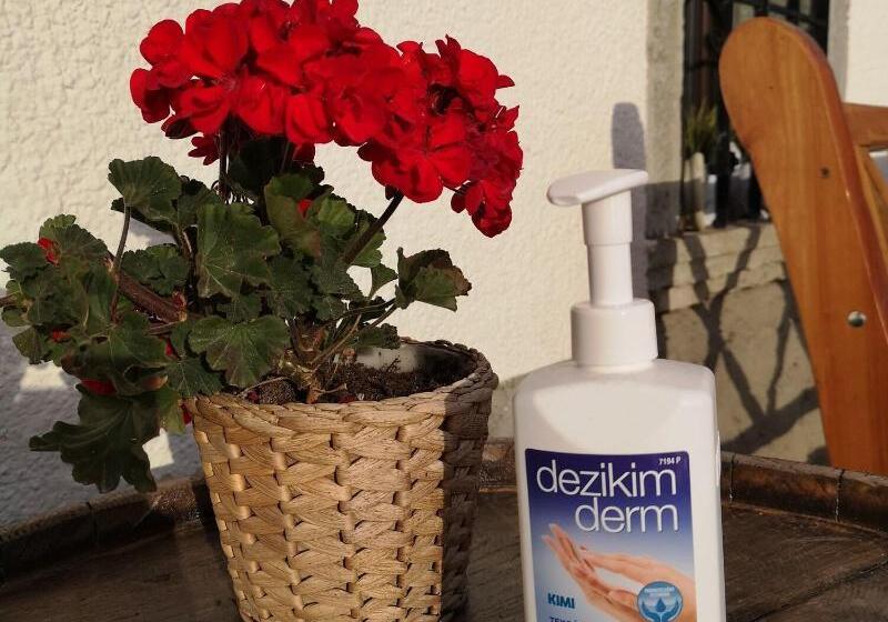 Fotos del hotel Old Bled House:  11