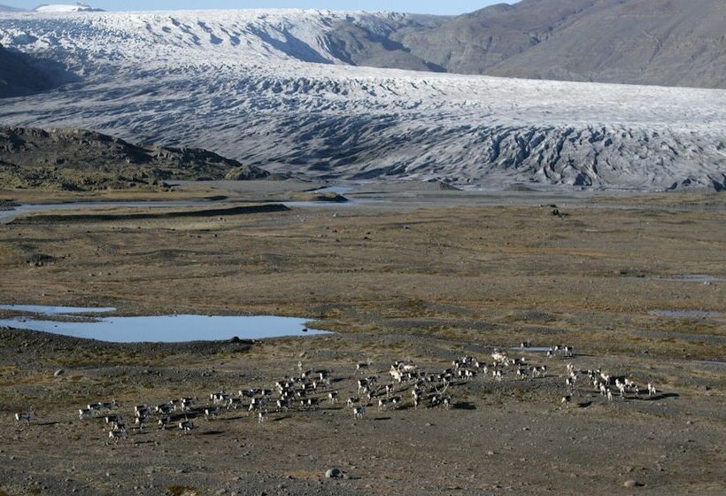 Fotos del hotel Arnanes Country:  17