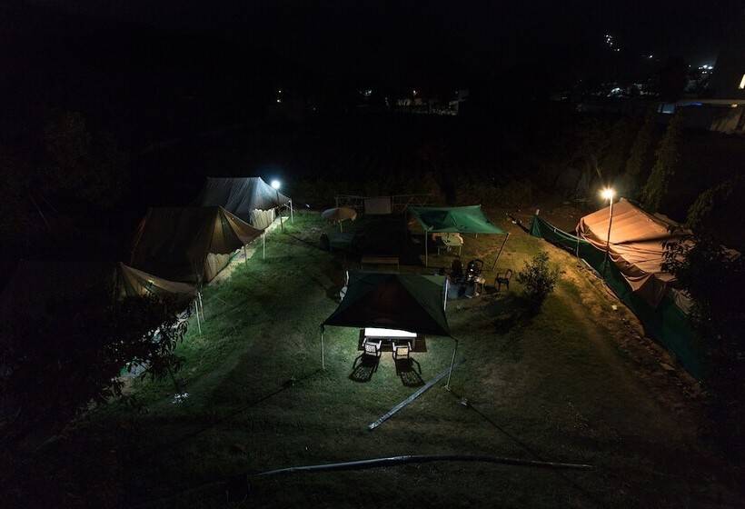 Fotos del hotel Backpacker Panda  Chand Palace:  7