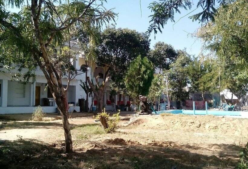 Fotos del hotel Backpacker Panda  Chand Palace:  4