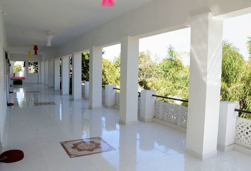 Fotos del hotel Backpacker Panda  Chand Palace:  13