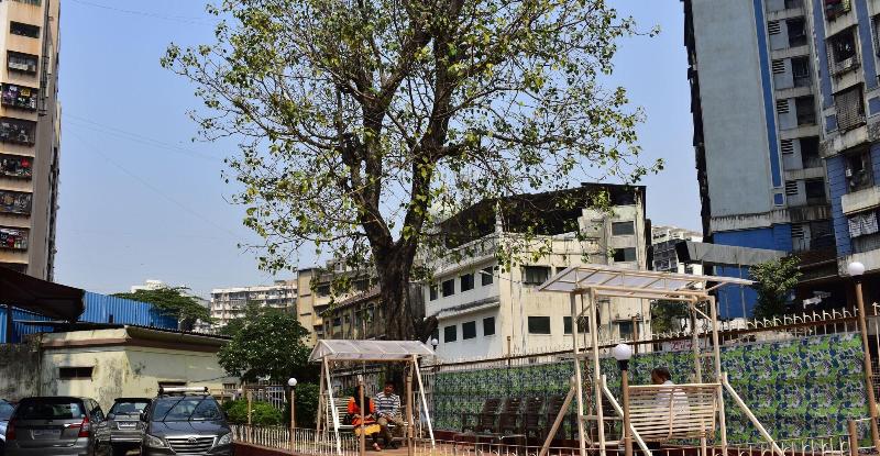 Fotos del hotel Kalapana Palace:  22