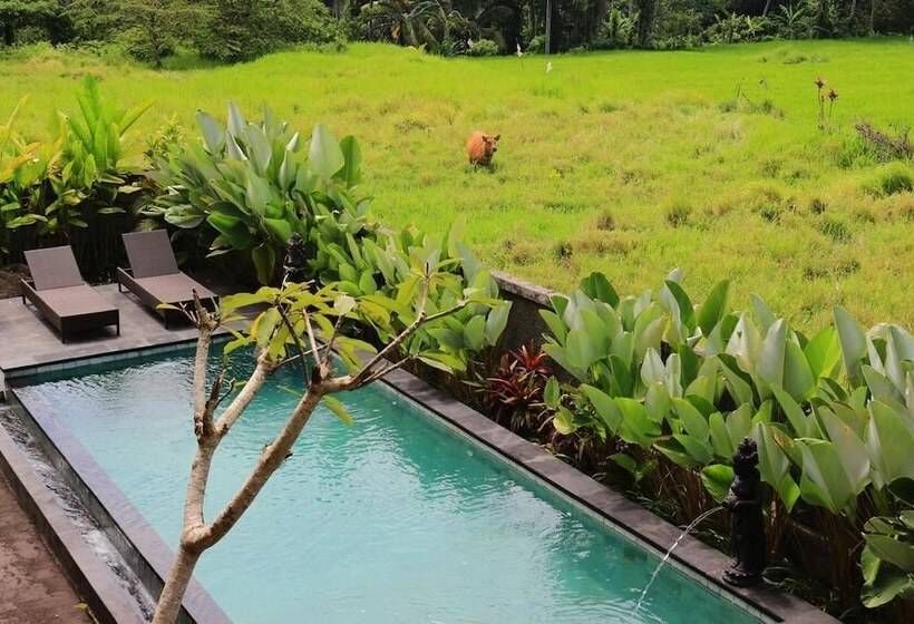 Fotos del hotel Uma Kutuh 2:  6