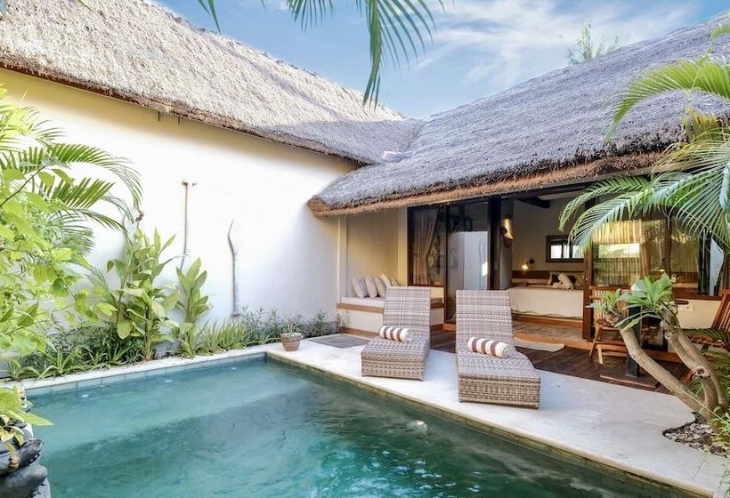 Fotos del hotel Villa Motu:  5