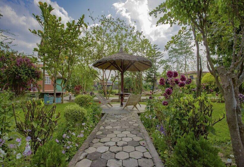 Fotos del hotel Jungle Nepal Resort:  4